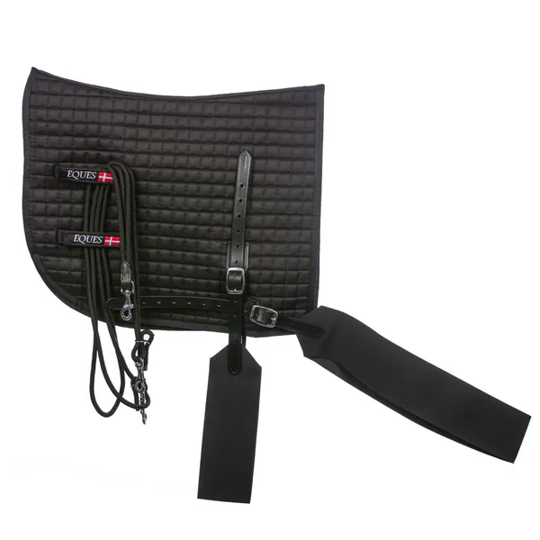 Hovedbilde Eques Core trainer Longering System