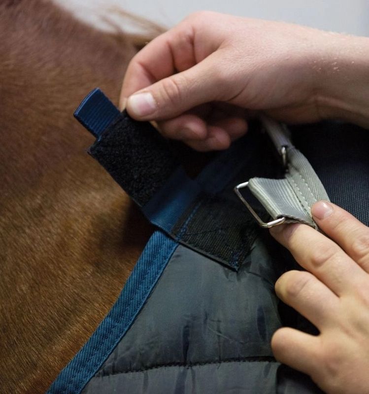 Horseware Ponni Liner 300g