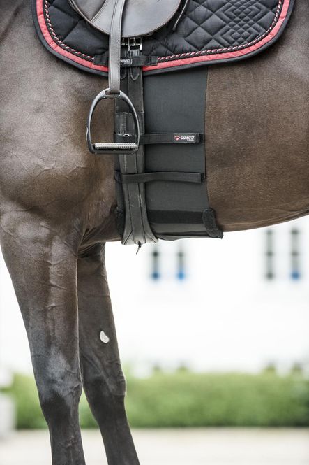 Hovedbilde Catago Body Shield