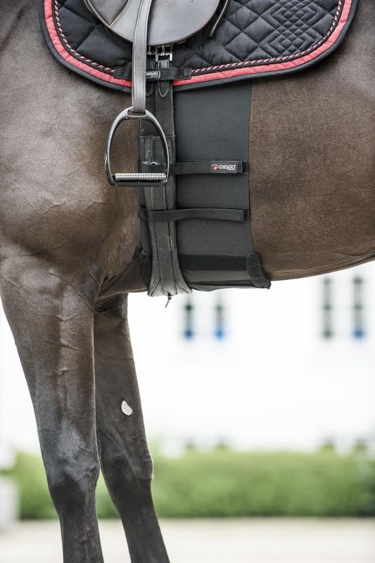 Catago Body Shield