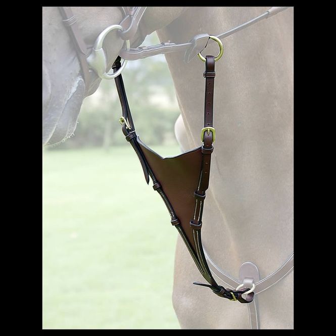 Hovedbilde Dyon Kort Martingal Antibit - Dyon Collection