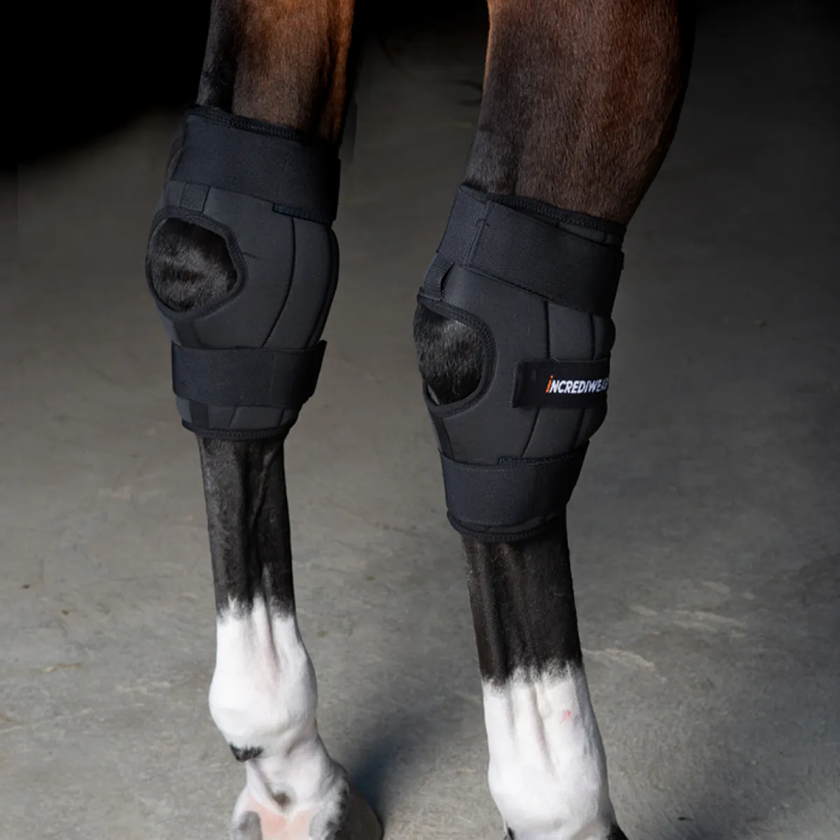 Incrediwear Circulation Hock Boots