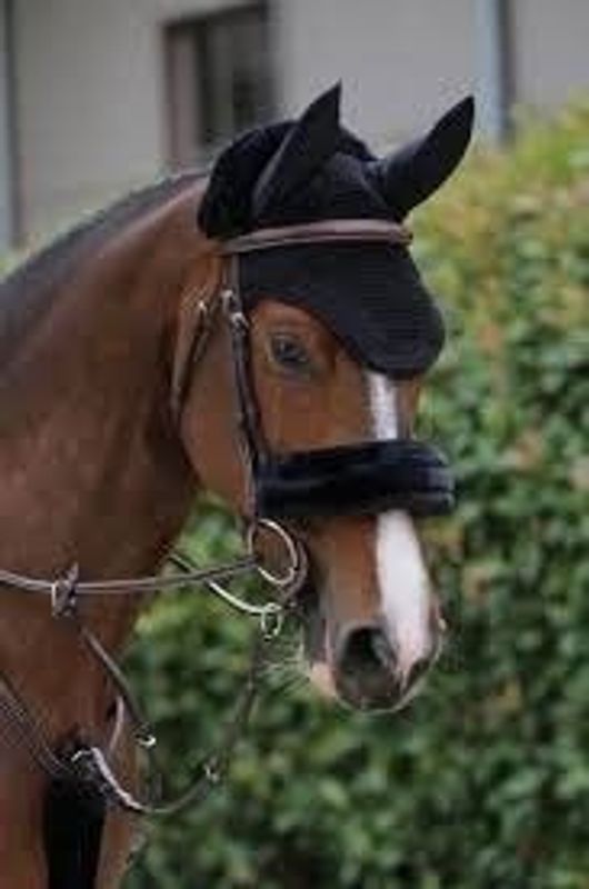 Kentucky lammeskinn beskytter- Flere Farger