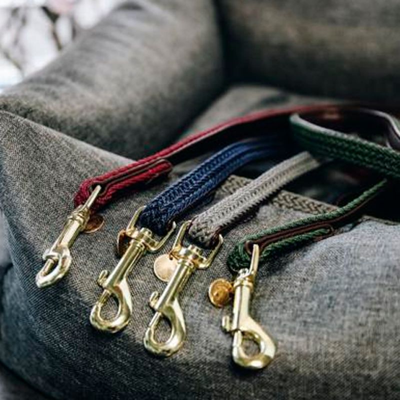 Kentucky Plaited Nylon Dog Lead