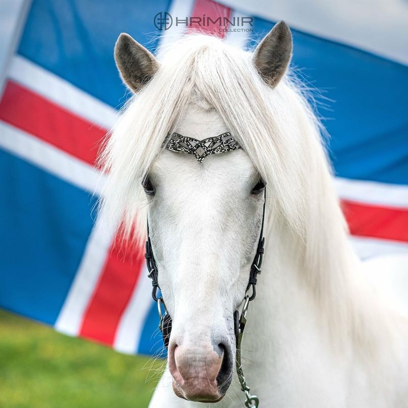 Hrimnir Heritage B Nakkereim -  Fire & Ice