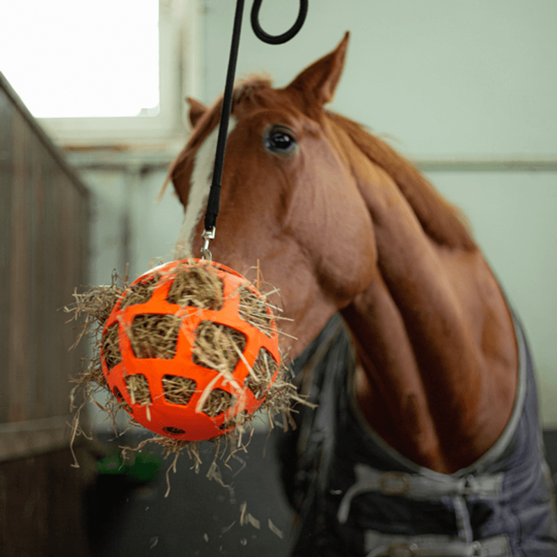 Høyball Fun and Flex