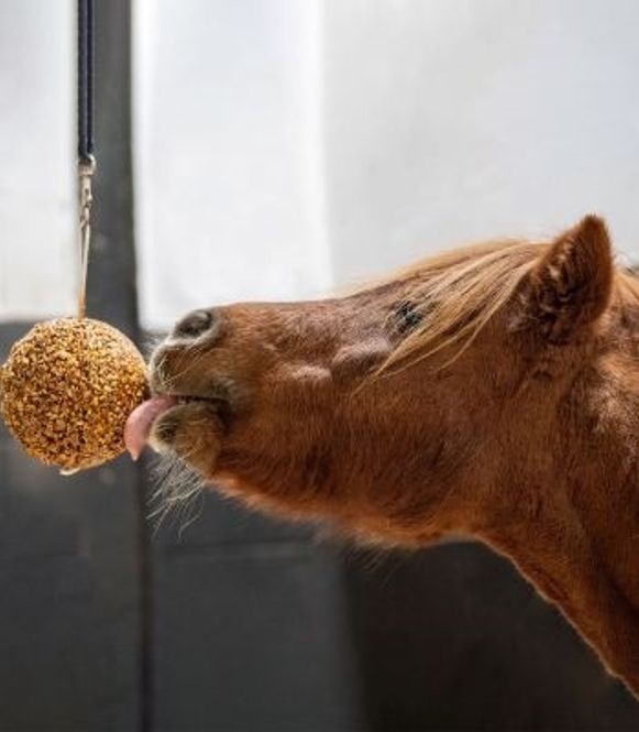 Hovedbilde Likit Granola Stall ball