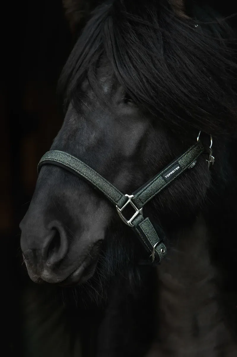 Top Reiter Glitrandi Grimesett - Grønn