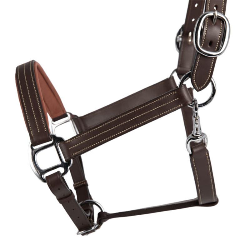 Antares Signature Anatomisk Lærgrime 