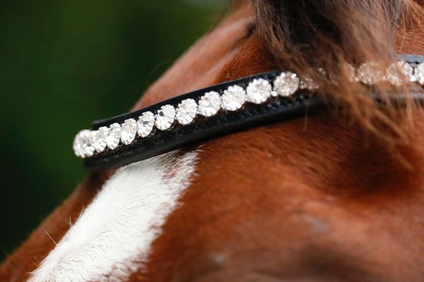 Hovedbilde SE Design Jade Rundsydd Kandar Hodelag