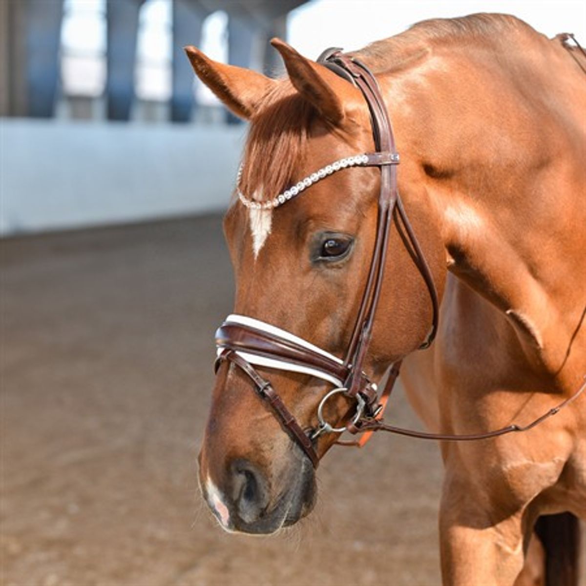 By Equalityline Pannebånd SLIM m/store hvite krystaller