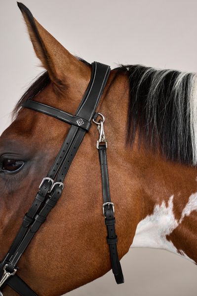 Hovedbilde Dyon Hodelag med flat engelsk nesereim - Working ...