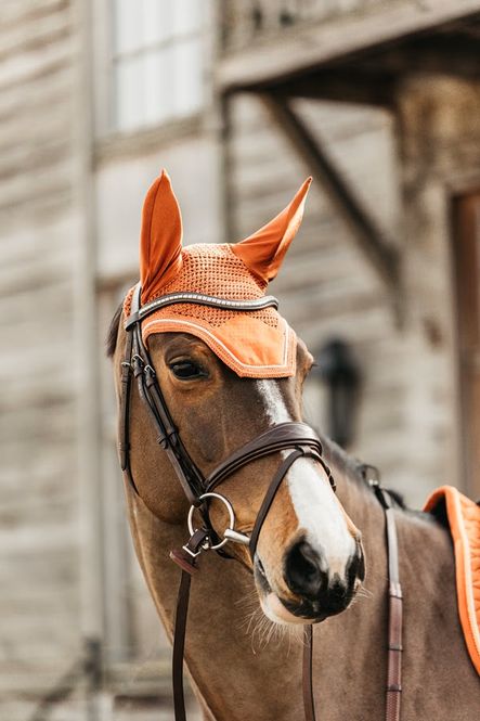 Hovedbilde Kentucky Velvet Ørehette