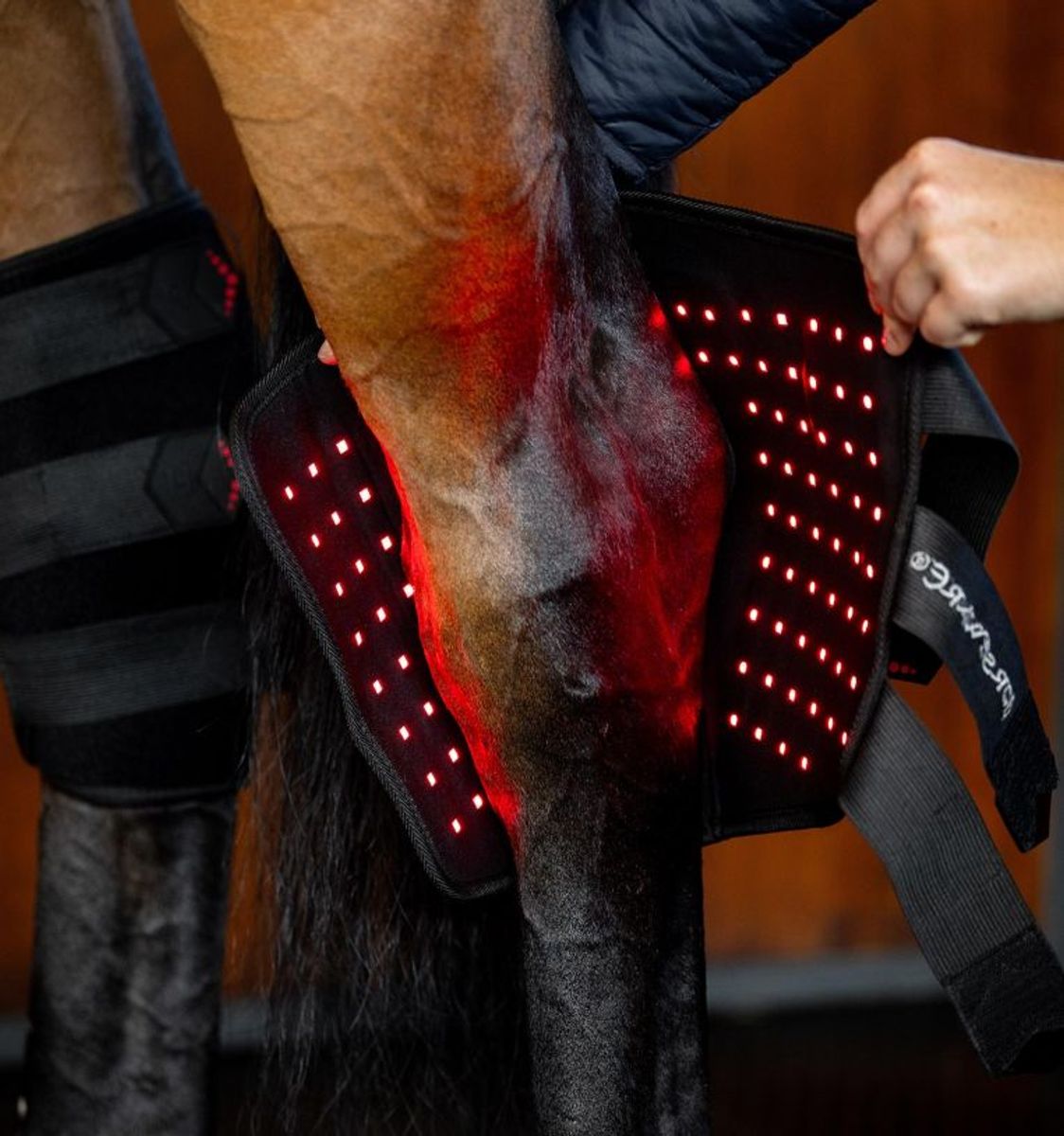 Horseware LED Red Light Therapy Hase Boot - Venstre
