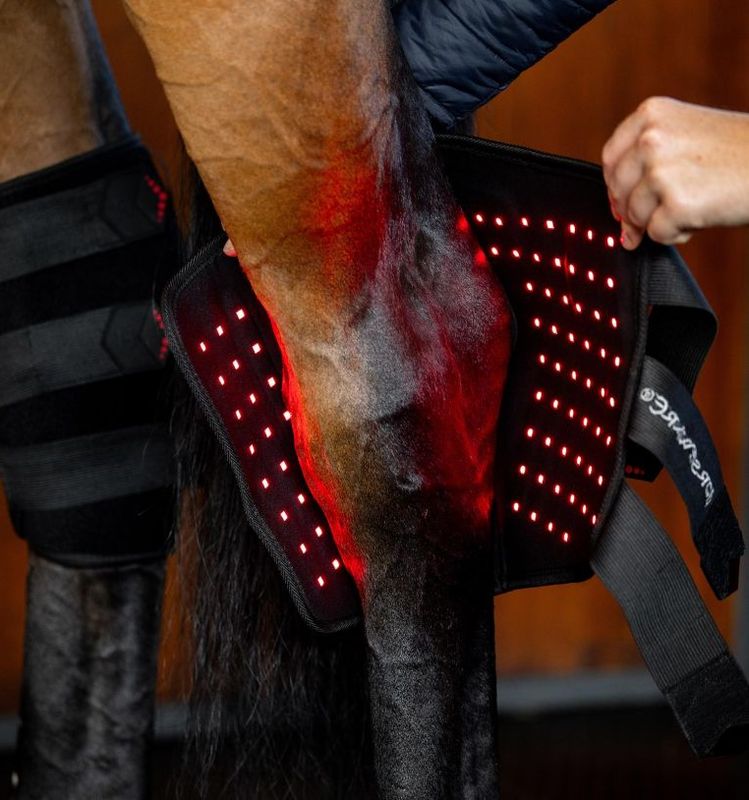 Horseware LED Red Light Therapy Hase Boot - Høyre