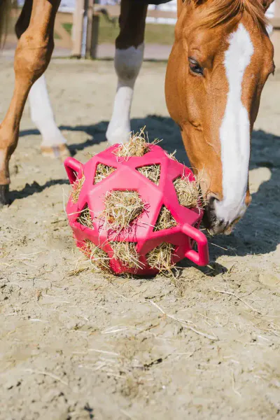 Hovedbilde Kentucky Relax Horse Play & Hay Ball