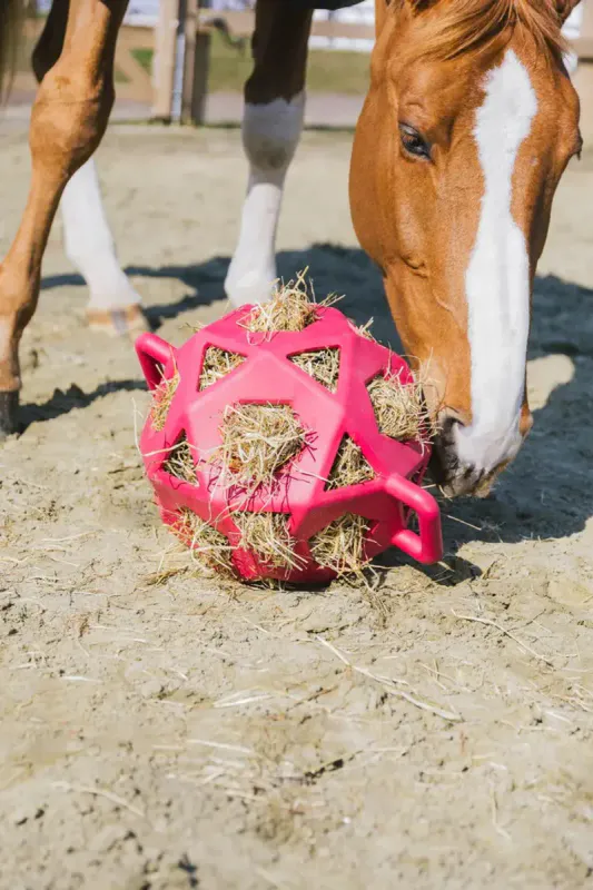 Kentucky Relax Horse Play & Hay Ball