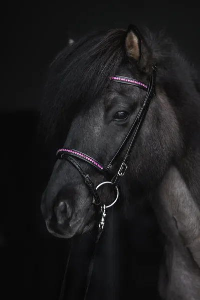 Hovedbilde Top Reiter Demantur Kombinert Nesereim - Rosa