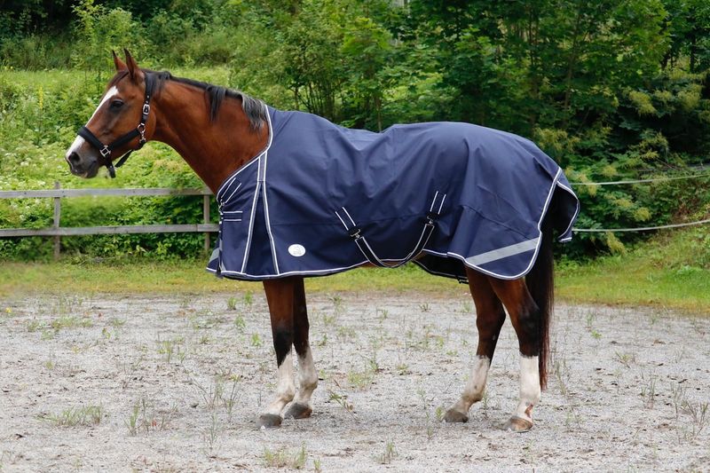 SE Design High Neck m/ullfor