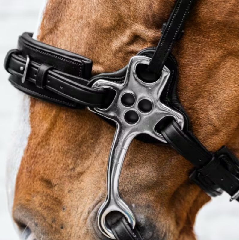 Dyon Hackamore