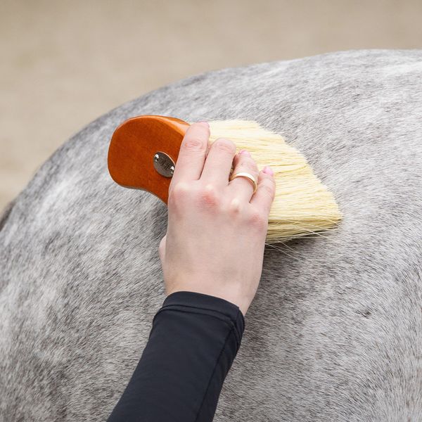 Hovedbilde Royal Børste sett - Brun