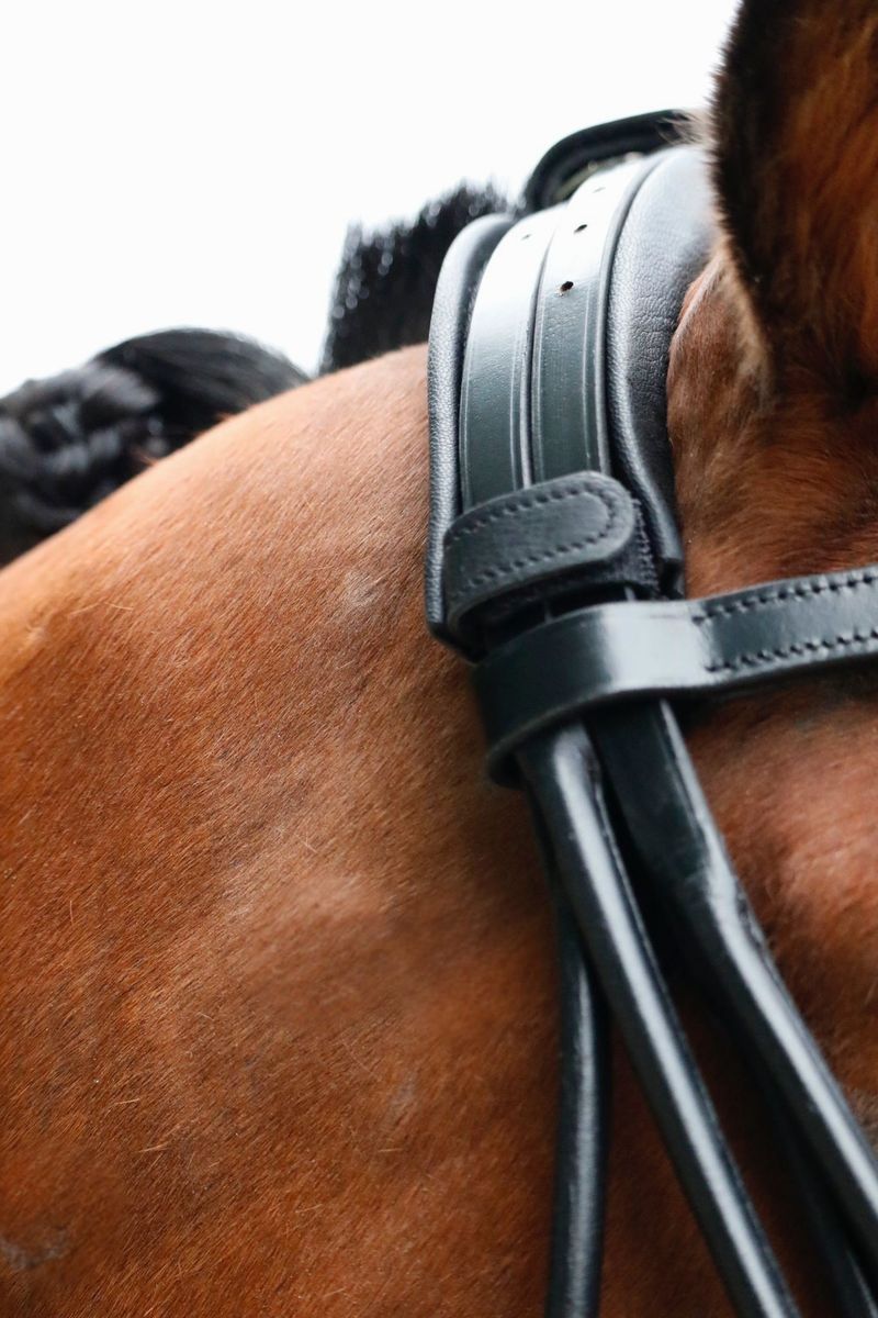 SE Design Jade Rundsydd Kandar Hodelag