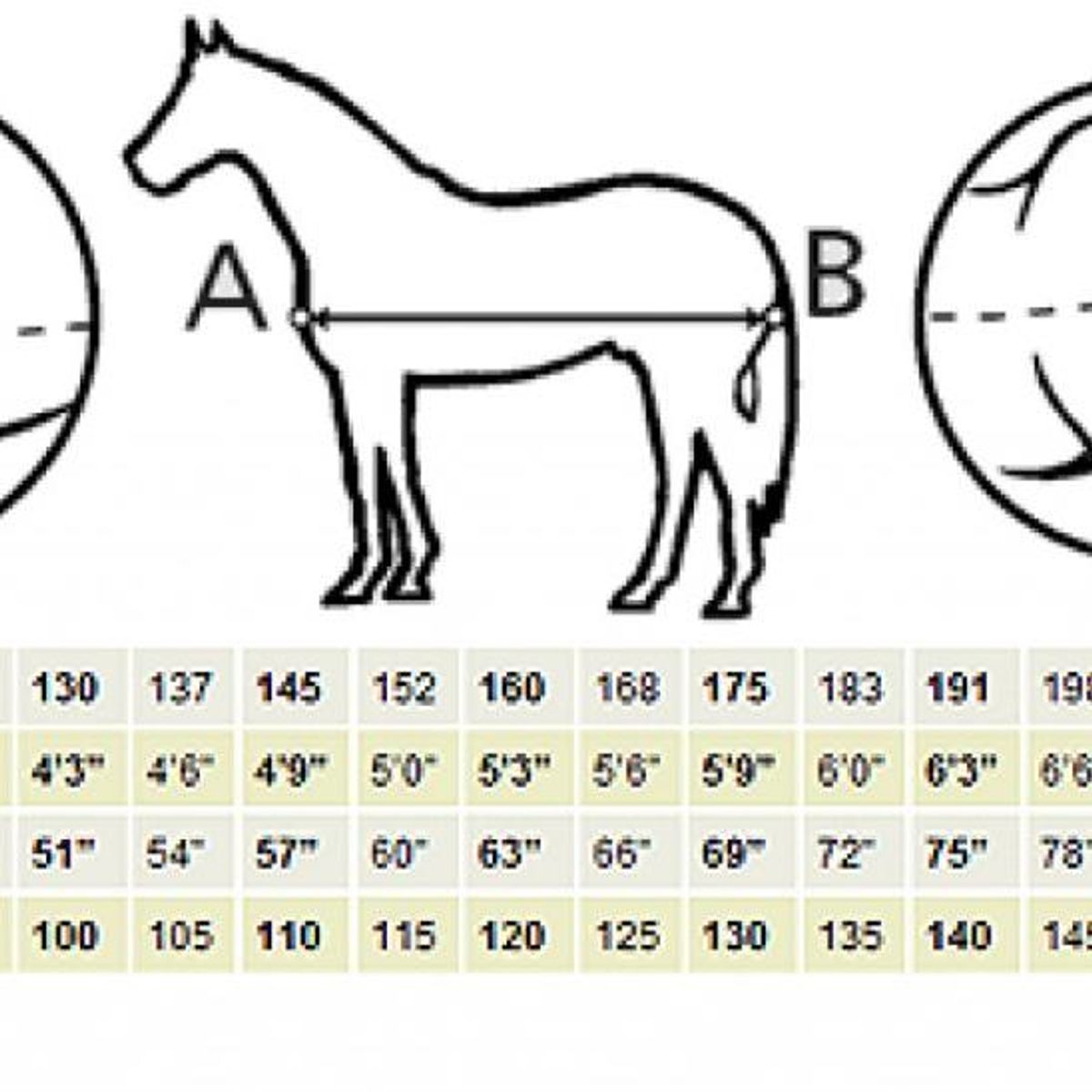 Bucas Shamrock Power Dekken - Navy/Silver