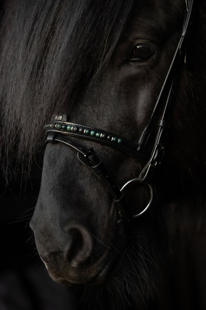 Top Reiter Orka Kombinert nesereim - Grønn