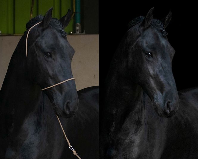 Hovedbilde Grime til fotografering