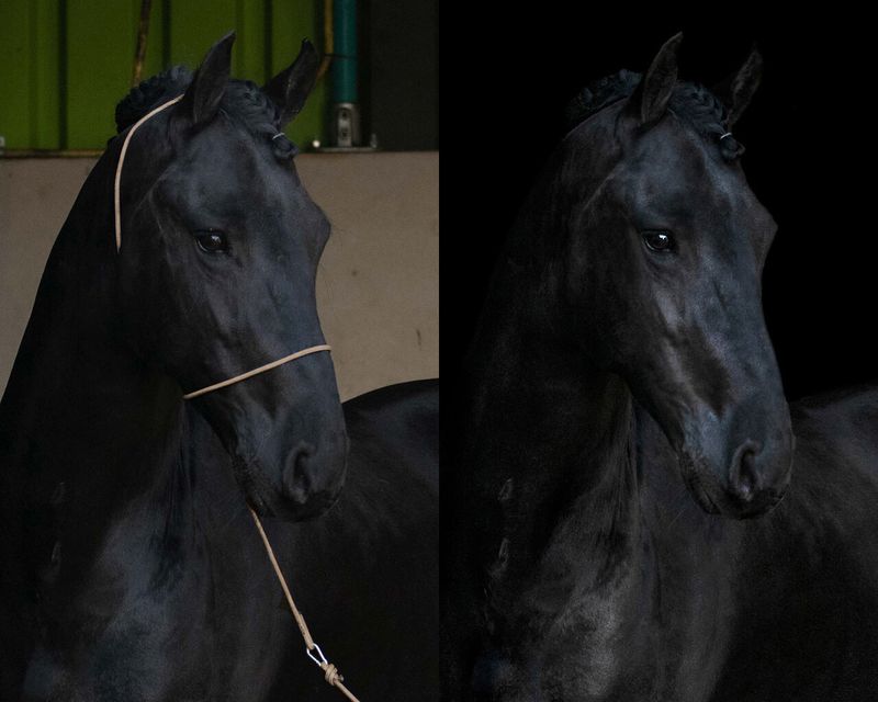 Grime til fotografering