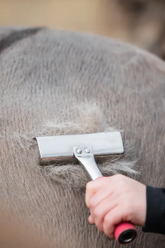 Top Reiter Curry Comb med Gel Grip