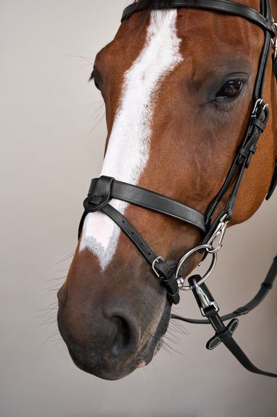 Hovedbilde Dyon Hodelag med flat engelsk nesereim - Working ...