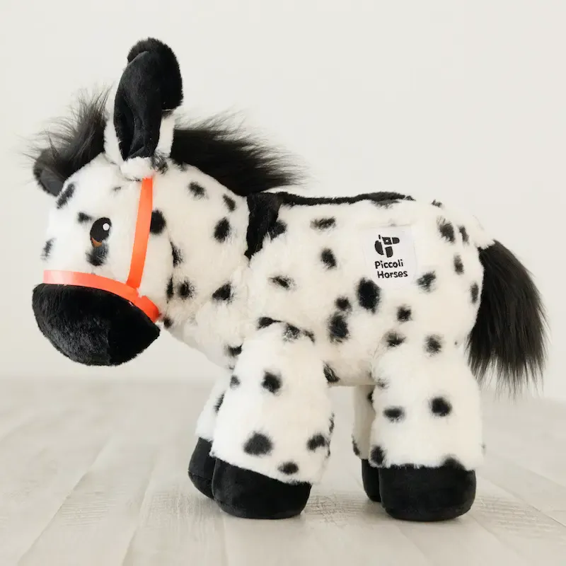 Piccoli Donkey - Chrissy