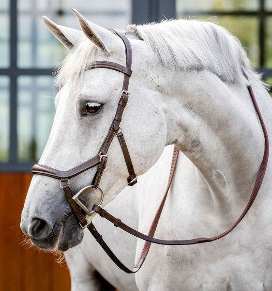 Hovedbilde Micklem Delux Competition Bridle