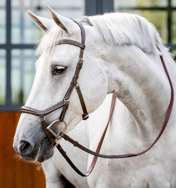 Micklem Delux Competition Bridle