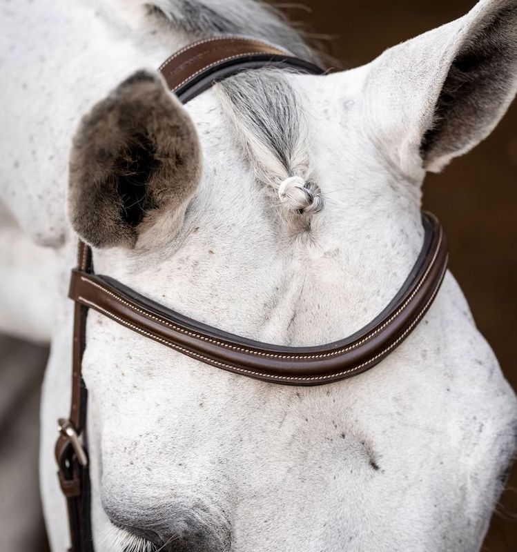 Micklem Delux Competition Bridle