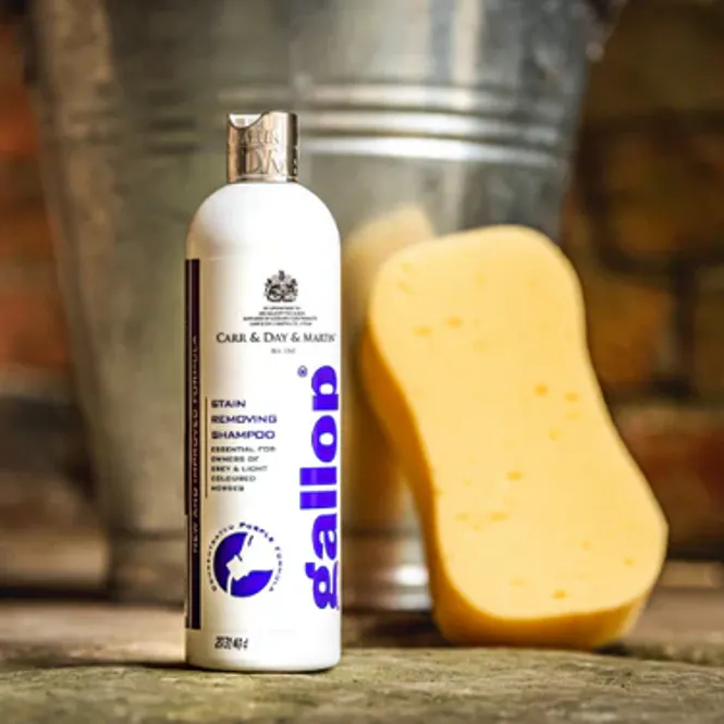 Hovedbilde CDM Gallop Stain Removing Shampoo 500ml