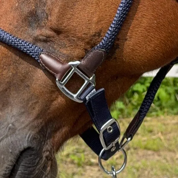 Hovedbilde SE Design Taugrime Sett