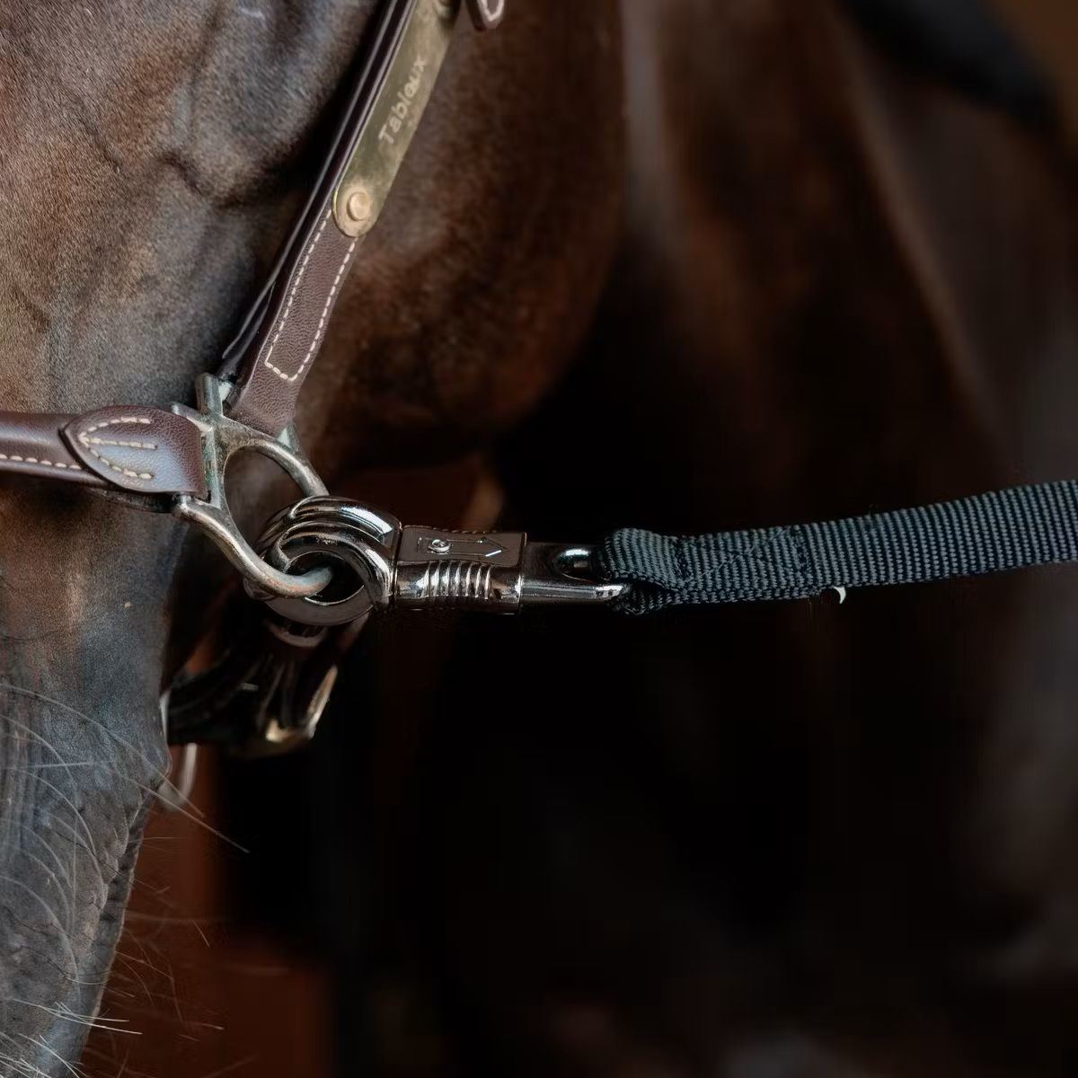 Grooming Deluxe Oppbindingstau 70cm