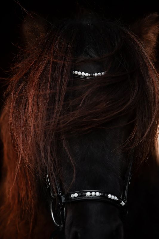 Top Reiter Orka Nakkereim - Hvit