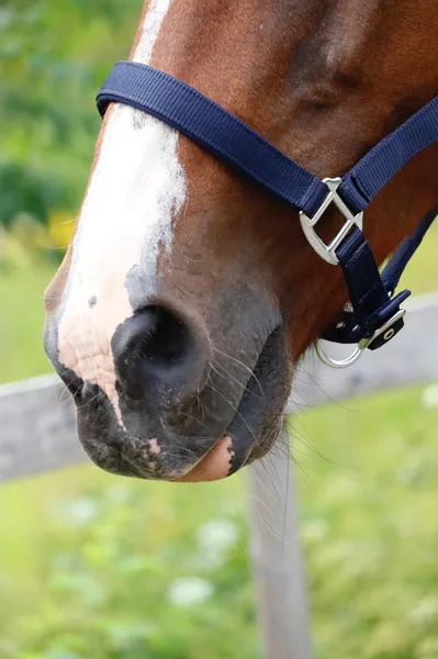 Hovedbilde SE Design Nylongrime