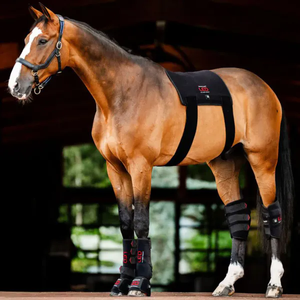 Hovedbilde Horseware Led Red Light Pad 