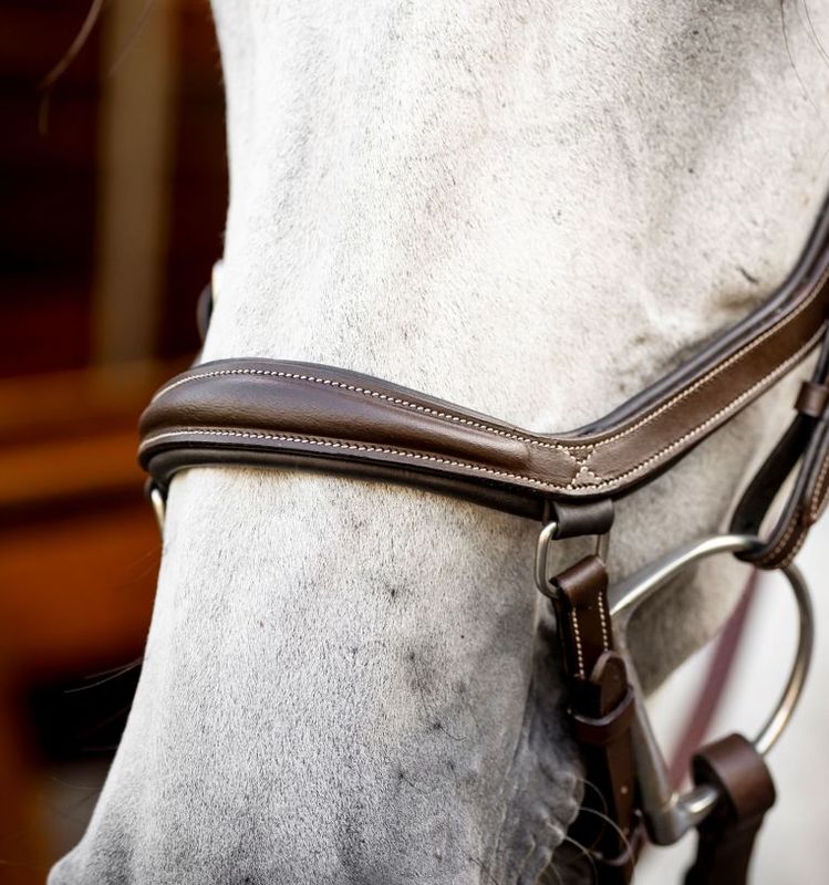 Micklem Delux Competition Bridle