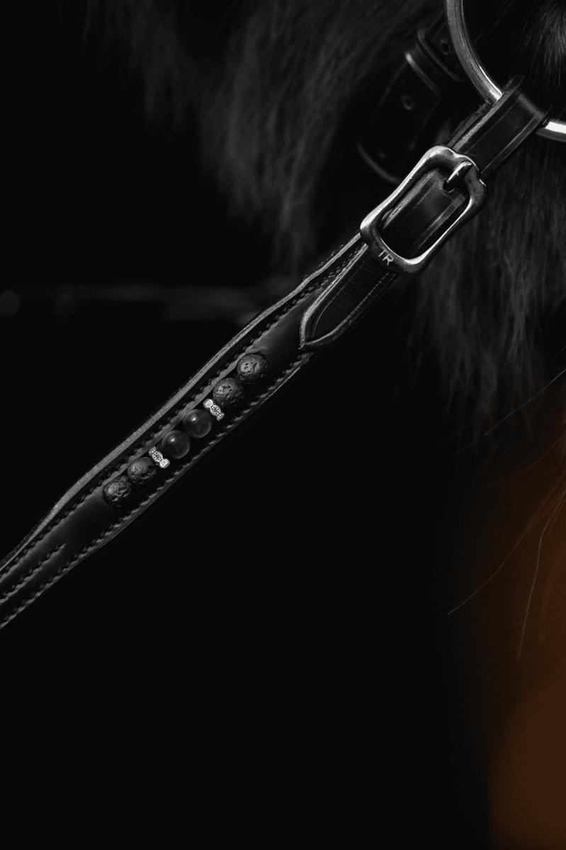 Top Reiter Orka T2 Tøyler