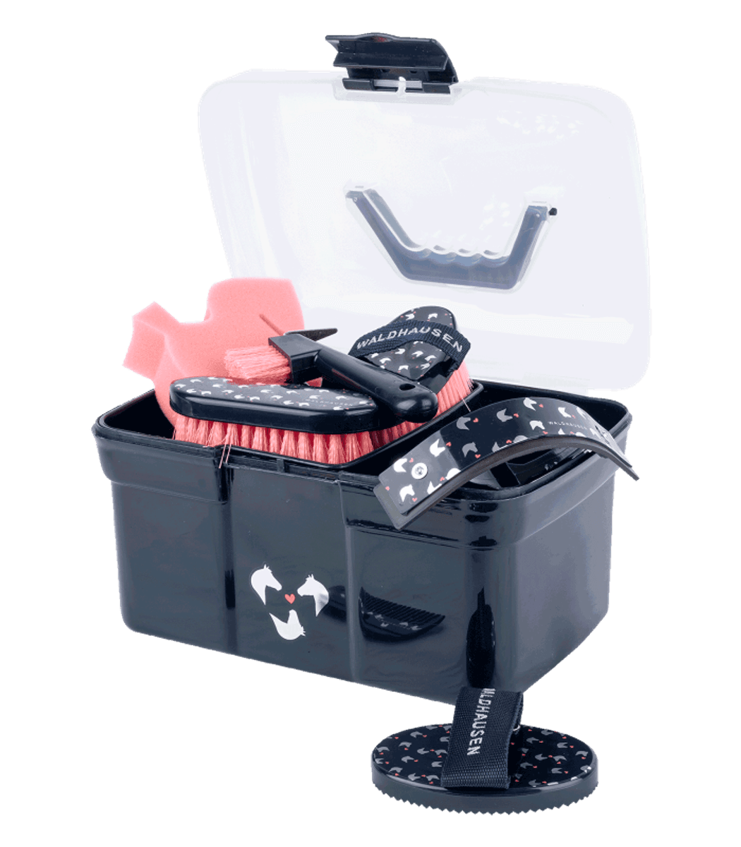 Lucky Grooming Box