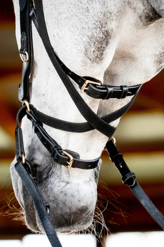 Horseware Micklem Multi Hodelag 