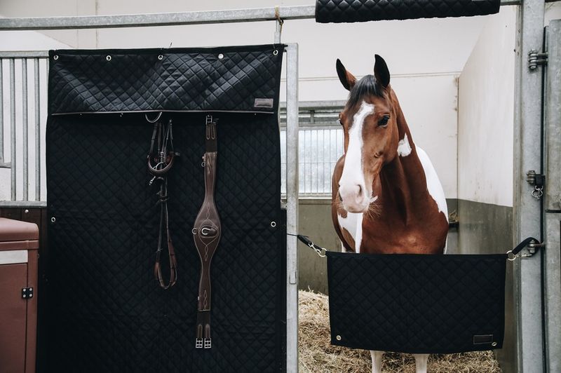 Kentucky Stall Gardin