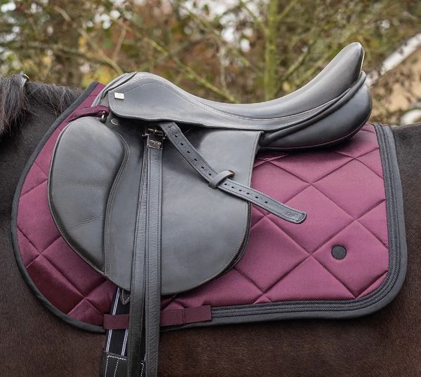 Hovedbilde QHP Zahra Sprang Schabrak