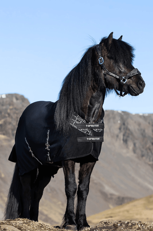 Top Reiter Klaki Anti Sweat Rug - Sort