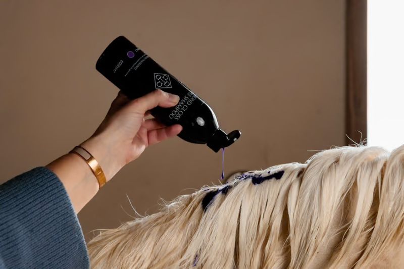 Grooming Deluxe Almond Gloss Purple Shampo